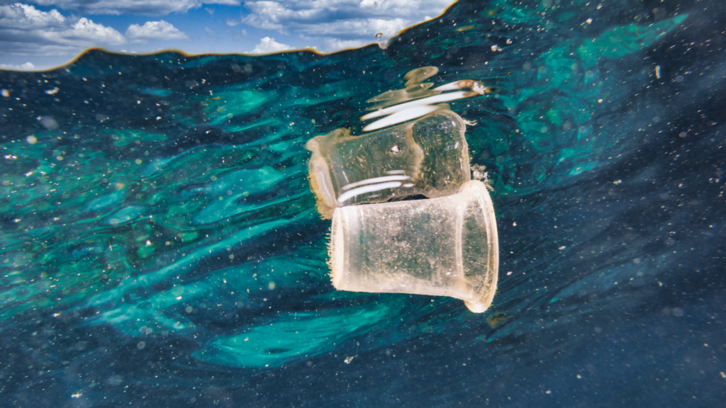 Biodiversidade Costeira Microplastico Morro de Sao Paulo Praia Copo de Plastico