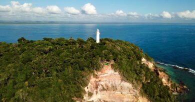 Agentes de Viagens Argentinos Conhecem Morro de São Paulo e Boipeba